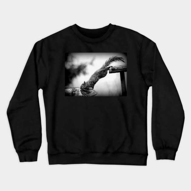 Stretch Crewneck Sweatshirt by LaurieMinor